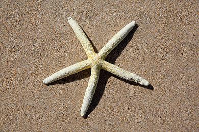 《寂静岭2：重制版》新情报 所有敌人位置被重新设置